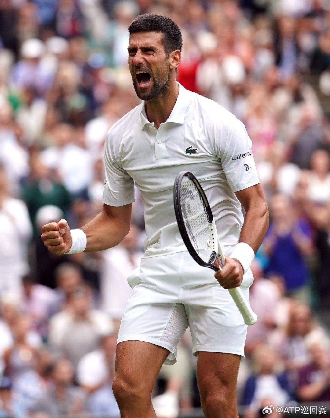 更具确定性 更具确定性